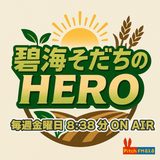 碧海そだちのHERO by JAあいち中央